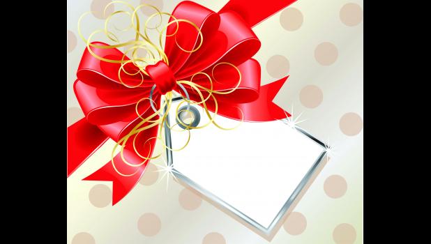 "Adopt" a teen this Christmas season.