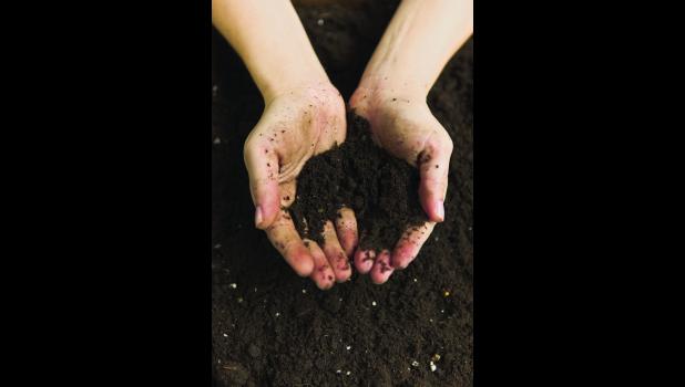 Healthy soils reduce production costs.