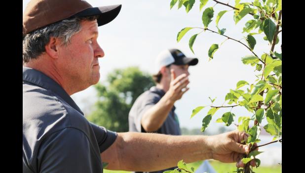 Reid Smeda, left, and Matt Terry study the movement of Callery pear trees from suburban to rural areas. The popular ornamental has become an invasive species. Photo by Linda Geist