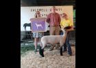 Kendra Betz with her Reserve Champion Ram.