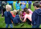 The Livingston County Power Clovers 4-H club planted a Liberty Tree at the historic Livingston County Courthouse grounds April 29, 2016, during the first year of the 4-H Liberty Tree project.