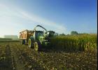 Crop production report estimates corn production up by 11 percent over last year.