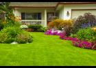 Benefits of living landscapes