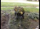 Garden clean-up tips.