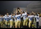 Hamilton Hornets State Champions