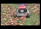 Mulching leaves return nutrients to the soil.
