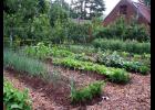 Mulches help make gardening more sustainable.